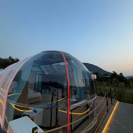 Magas Bubble *