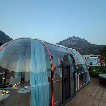 Magas Bubble