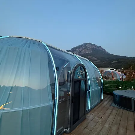 Magas Bubble *